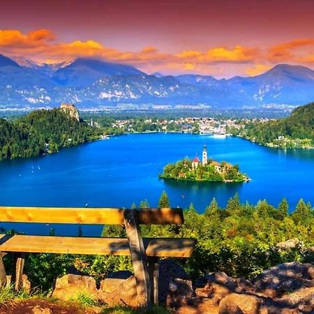 Alpine Cottage Bled Esterno foto